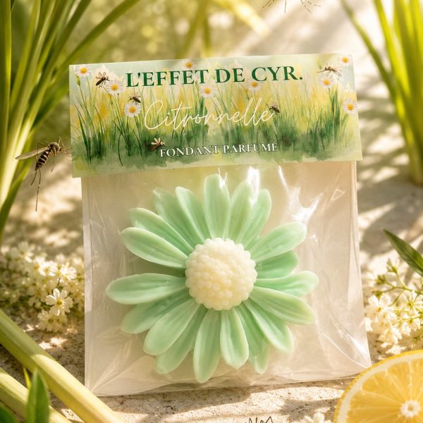 Fondant parfumé citronnelle cire de colza-Effet de Cyr